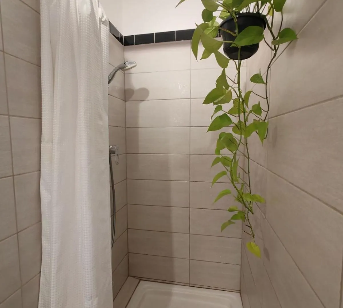 Apartment Location Appartement Saint-Paul-le-Jeune